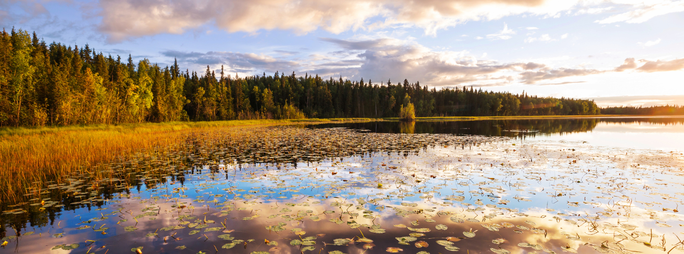 kesäkoulu elokuisessa maisemassa